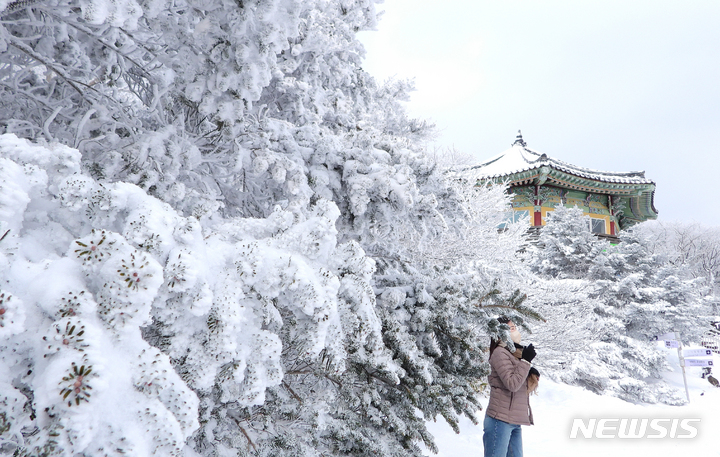 [제주=뉴시스] 우장호 기자 = 한라산 아침 최저기온이 영하 13.0도까지 떨어지는 등 추운 날씨를 보이는 21일 오전 제주 서귀포시 1100고지 습지를 찾은 관광객들이 활짝 핀 상고대를 감상하며 막바지 겨울정취를 즐기고 있다. 2022.02.21. woo1223@newsis.com