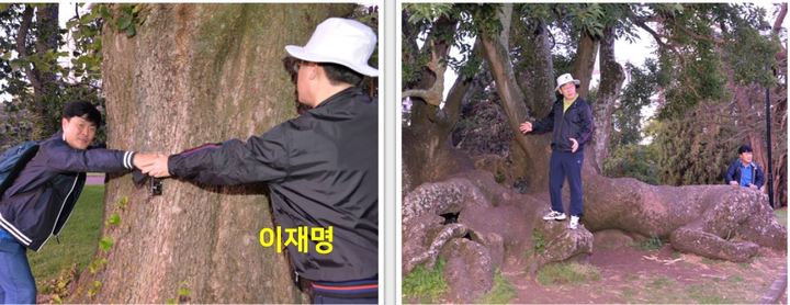 이재명 더불어민주당 대선 후보와 고(故) 김문기 성남도시개발공사 개발1처장이 2015년 1월 7일 뉴잴린드 오클랜드 알버트 공원에서 손을 맞잡고 있는 사진. 사진=국민의힘 *재판매 및 DB 금지