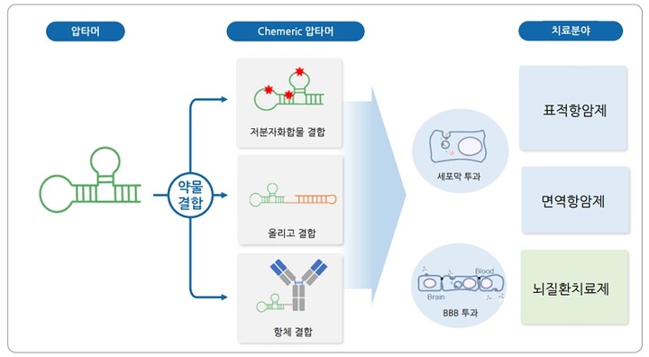 키메릭 압타머(Chimeric Aptamer) (사진=압타머사이언스 제공) *재판매 및 DB 금지