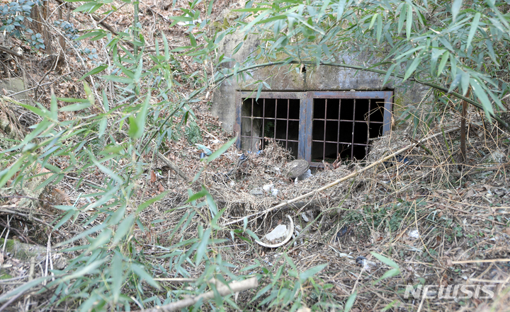 [광주=뉴시스] 류형근 기자 = 25일 오후 광주 서구 쌍촌동 한 주요소 인근 야산에서 일제시대 항공기 연료 보관창고로 사용된 것으로 추정되는 군사시설이 발견됐다. 2022.02.25. hgryu77@newsis.com