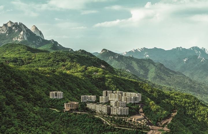 파라스파라 서울 *재판매 및 DB 금지