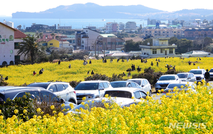 [서귀포=뉴시스] 우장호 기자 = 포근한 날씨가 이어진 지난 27일 오후 제주 서귀포시 안덕면 산방산 인근에 관광객들이 찾아와 활짝 핀 유채꽃을 감상하며 봄 기운을 느끼고 있다. 2022.02.27. woo1223@newsis.com