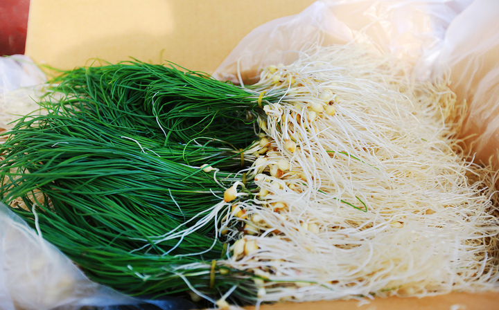 풍미 좋은 서산 '달래' 50여t 출하 예정 