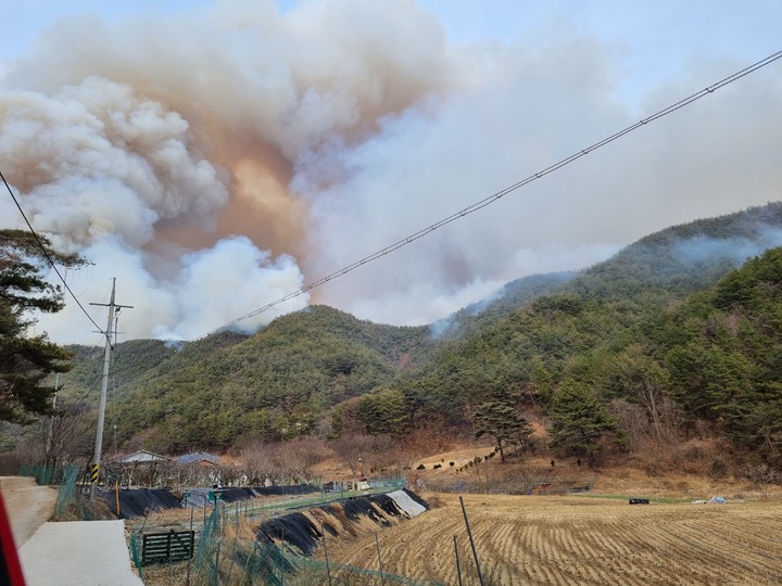 합천산불 *재판매 및 DB 금지