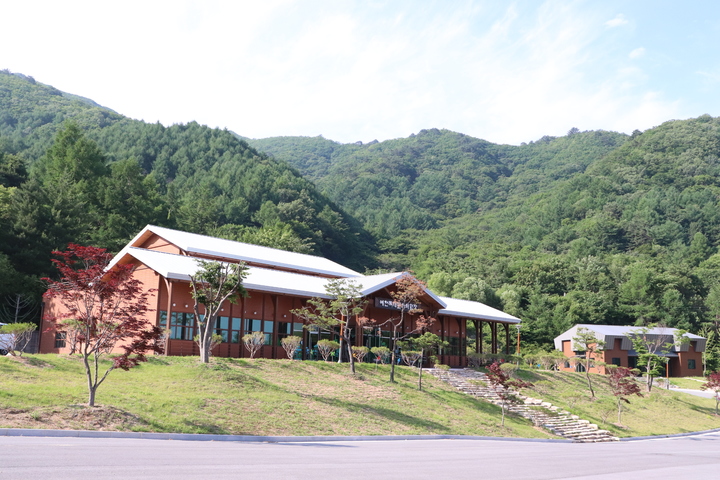 [안동=뉴시스] 예천 목재문화체험장. (사진=경북도 제공) 2023.02.09 *재판매 및 DB 금지