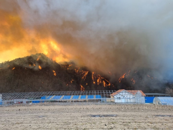 [대전=뉴시스] 경북 울진 산불현장의 모습.(사진=산림청 제공) *재판매 및 DB 금지