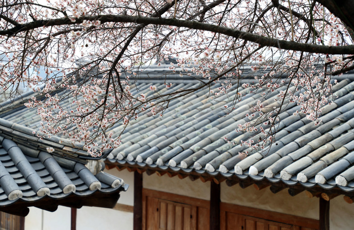 [다음주 날씨] 낮 최고 기온 20도까지 올라…일요일 비소식