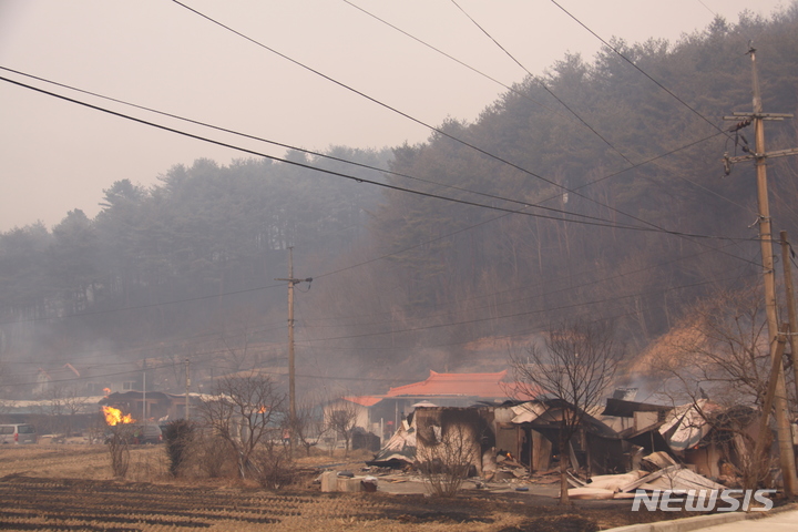[울진=뉴시스] 이바름 기자 = 4일 오전 11시17분께 경북 울진군 북면 두천리 289 일원에서 원인 미상의 산불이 발생한 가운데 화마가 지나간 마을에 잔불이 타고 있다. 2022.03.04. right@newsis.com