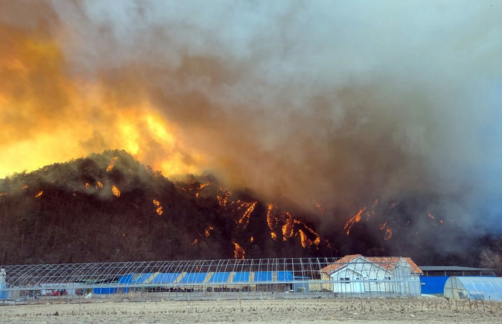 [울진=뉴시스] 이바름 기자 = 4일 오전 경북 울진군 북면 두천리 289 일원에서 원인 미상의 산불이 발생했다. (사진=산림청 제공) 2022.03.04. photo@newsis.com *재판매 및 DB 금지