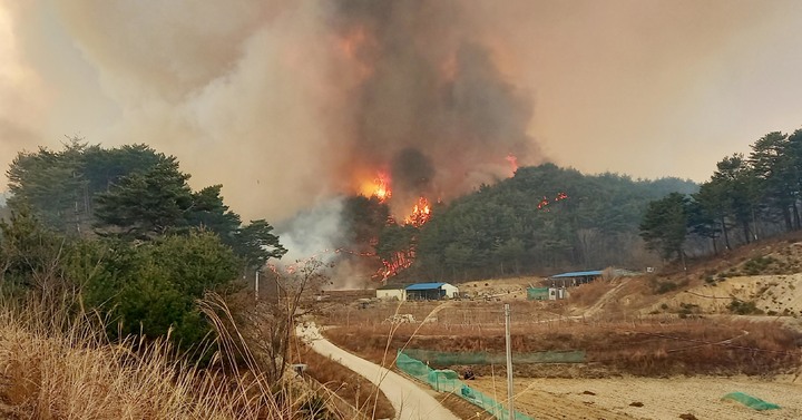 [서울=뉴시스] 4일 경북 울진군 북면 두천리 289 일원에서 산불이 발생해 대형산불주의보가 발령되었다. (사진=소방청 제공) 2022.03.04. photo@newsis.com *재판매 및 DB 금지