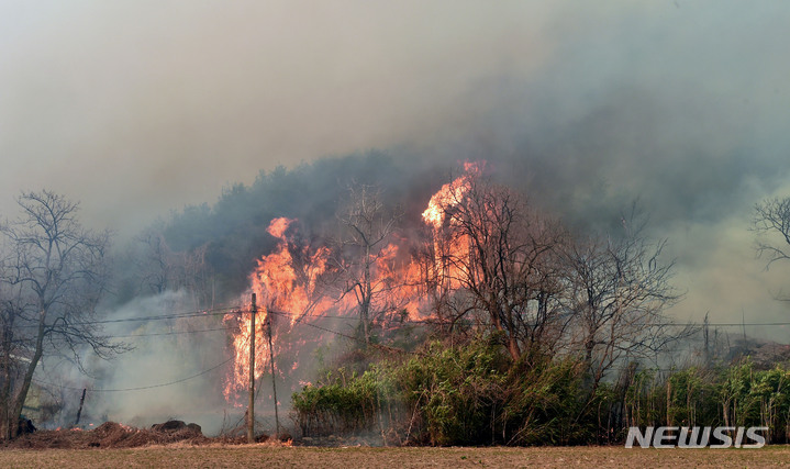 [울진=뉴시스] 이무열 기자 = 경북 울진군 산불 이틀째인 5일 산불이 강풍을 타고 북면 덕구리 마을까지 번지고 있다. 2022.03.05. lmy@newsis.com