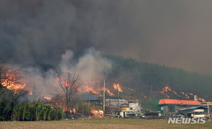 [울진=뉴시스] 이무열 기자 = 경북 울진군 산불 이틀째인 5일 산불이 강풍을 타고 북면 덕구리 마을까지 번지고 있다. 2022.03.05. lmy@newsis.com