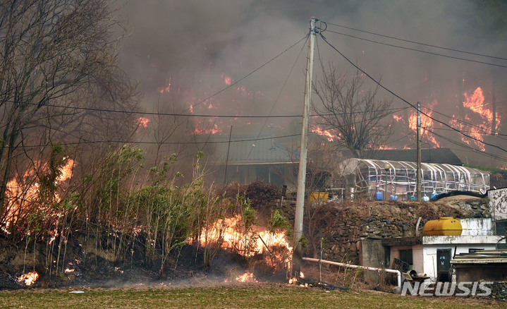 [울진=뉴시스] 이무열 기자 = 경북 울진군 산불 이틀째인 5일 산불이 강풍을 타고 북면 덕구리 마을까지 번지고 있다. 2022.03.05. lmy@newsis.com