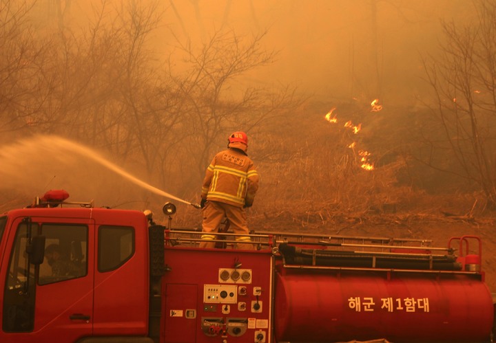 자료사진 (사진=해군 제1함대사령부 제공) *재판매 및 DB 금지