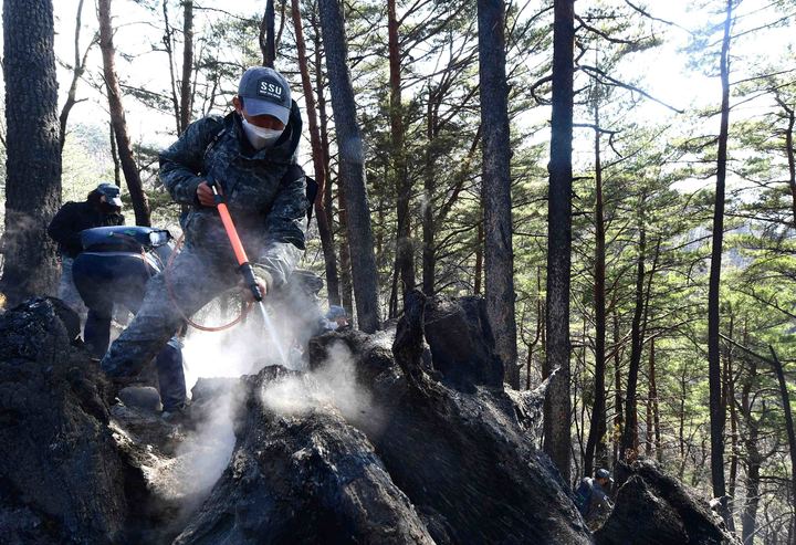 [동해=뉴시스] 김경목 기자 = 6일 오후 해군 제1함대사령부 장병들이 강원 동해시 신흥동 야산에서 잔불을 진화하고 있다. (사진=해군 제1함대사령부 제공) 2022.03.06. photo@newsis.com *재판매 및 DB 금지
