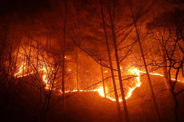 [서울=뉴시스] 경북 울진군 북면 산불 발생 사흘째인 6일 수시로 바뀌는 풍향과 강풍 및 연무로 산불이 울진군 금강송면 소광리 금강소나무숲 인근까지 번지고 있다. (사진=산림청 제공) 2022.03.07. photo@newsis.com *재판매 및 DB 금지