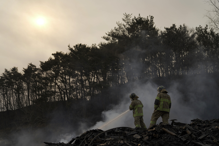 [서울=뉴시스] 경북 울진군 산불 발생 나흘째인 7일 경북 울진 북면 나곡리 쓰레기 매립장에서 소방대원들이 잔불정리를 하고 있다. (사진=소방청 제공) 2022.03.07. photo@newsis.com *재판매 및 DB 금지