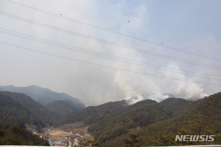 [울진=뉴시스] 이바름 기자 = 8일 오후 1시 20분께 경북 울진 산불이 금강송 군락지인 소광리 일대로 번지고 있다.