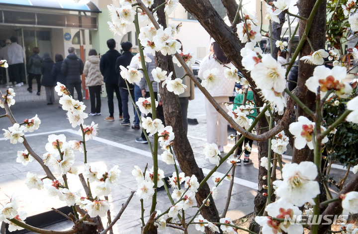 [제주=뉴시스] 우장호 기자 = 제20대 대통령선거일인 9일 제주시 오라초등학교에 마련된 투표소에서 소중한 한 표를 행사하려는 시민들의 발걸음이 이어지고 있다. 2022.03.09. woo1223@newsis.com
