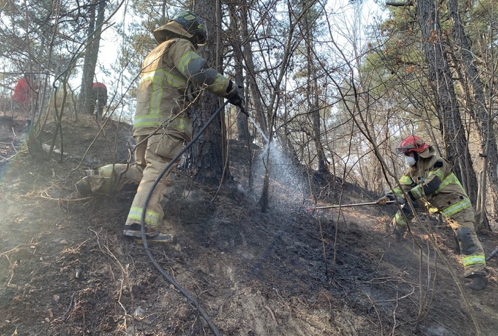 [서울=뉴시스] 9일 소방대원이 경북 울진군 신림리 지역에 번진 산불을 진화하고 있다. (사진=소방청 제공) 2022.03.09. photo@newsis.com *재판매 및 DB 금지