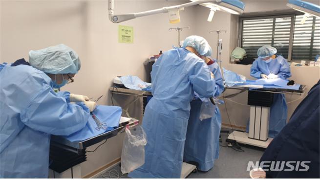 [서울=뉴시스] 서울시 집중중성화센터에서 '중성화의날'을 맞아 수술을 진행하고 있다. 2022.03.11. (사진 = 서울시 제공) photo@newsis.com
