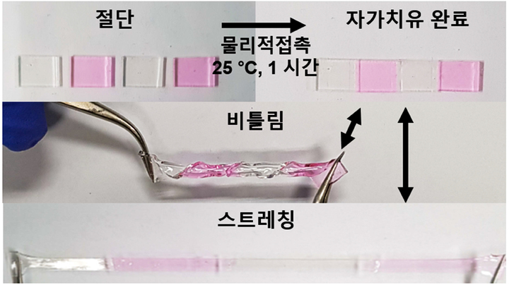 상온에서 1시간 만에 완전히 자가치유한 스트레처블 고분자전해질 *재판매 및 DB 금지