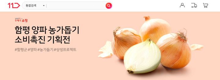 11번가, 함평군 농가 돕기 양파 40톤 '반값 판매'