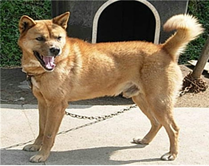 제주도 제공 *재판매 및 DB 금지