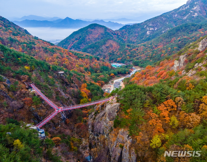 [창원=뉴시스] 경남 거창 우두산 ‘거창Y자형출렁다리’.(사진=경남도 제공)
