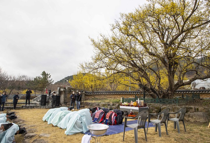 20일 전남 구례군 산수유 나무 시목지에서 초헌관 김순호 구례군수와 구례유도회, 산동면청년회 등 50여 명이 참석한 가운데 코로나19 종식과 풍년을 염원하는 제례가 열리고 있다. 구례군 제공 *재판매 및 DB 금지