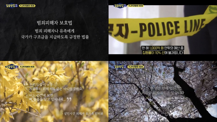 [서울=뉴시스] '알쓸범잡2' 영상 캡처 . 2022.03.21. (사진 = tvN ) photo@newsis.com*재판매 및 DB 금지 *재판매 및 DB 금지