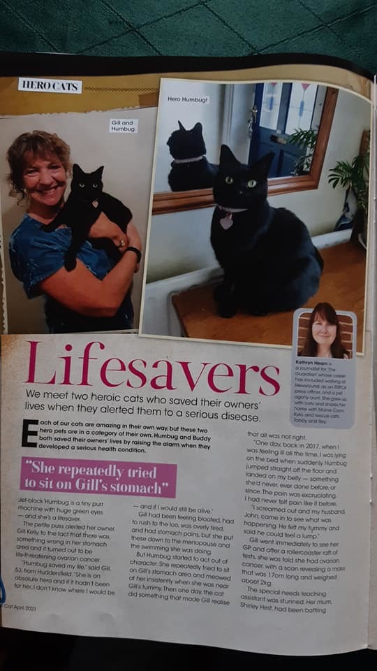 [서울=뉴시스] 고양이 험버그와 주인 길 켈리의 이야기가 '유어캣' 잡지에 실린 모습. (사진=길 켈리 페이스북) 2022.03.22. *재판매 및 DB 금지