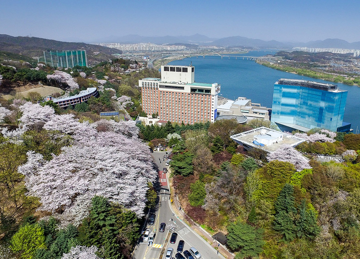 벚꽃이 만개한 워커힐 호텔앤리조트 *재판매 및 DB 금지