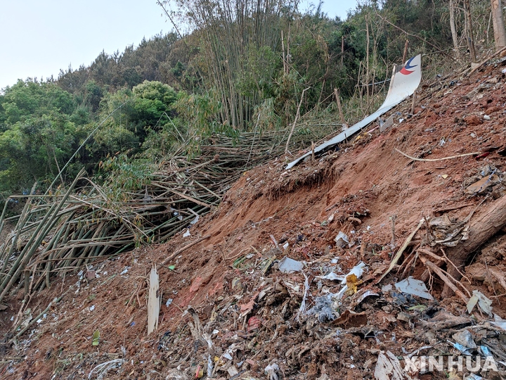[텅현=신화/뉴시스] 21일(현지시간) 중국 광시좡족자치구 텅현에서 추락 여객기 잔해가 보인다. 승객 등 132명이 탑승한 중국 동방항공 소속 보잉 737 여객기가 텅현 인근 산악지대에 추락해 중국민항국은 비상대응체제를 가동하고 현장에 구조팀을 급파했다고 밝혔다. 2022.03.22.