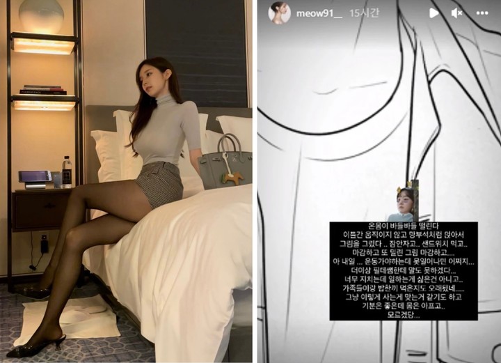 [서울=뉴시스] 야옹이 작가 인스타그램 (사진 = 야옹이 작가 인스타그램 스토리 캡처) *재판매 및 DB 금지 *재판매 및 DB 금지