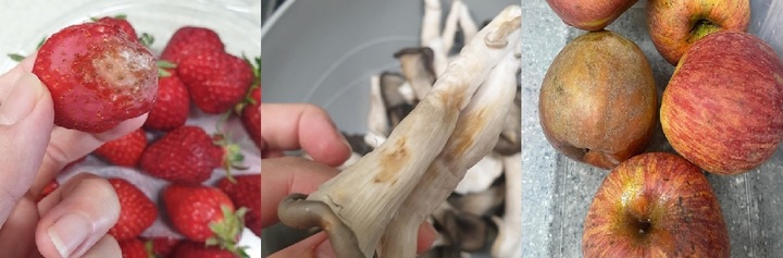 경기도와 경기도농수산진흥원이 추진 중인 '임산부 친환경농산물 꾸러미 지원 사업' 배송 과일. (사진=온라인 커뮤니티 캡쳐) *재판매 및 DB 금지