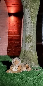 [서울=뉴시스] 지난 21일 경찰이 발견한 호랑이 인형이다. (사진=그레이터맨체스터 경찰 올덤 센트럴 지부 페이스북 캡처) 2022.03.24. *재판매 및 DB 금지