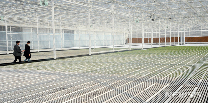 [무주=뉴시스] 김얼 기자 = 한경훈 농업회사법인 무주원 대표가 전북 무주군 안성면에 위치한 무주원에서 본사와 인터뷰를 하고 있다. 2022.03.25. pmkeul@nwsis.com