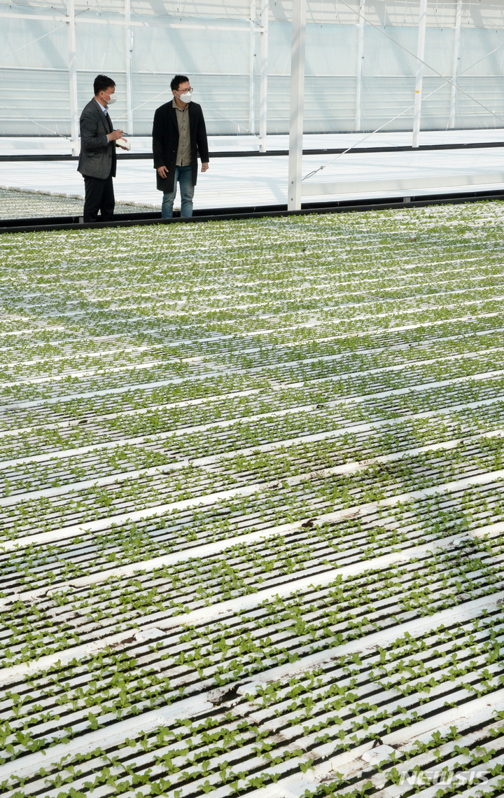 [무주=뉴시스] 김얼 기자 = 한경훈 농업회사법인 무주원 대표가 전북 무주군 안성면에 위치한 무주원에서 본사와 인터뷰를 하고 있다. 2022.03.25. pmkeul@nwsis.com