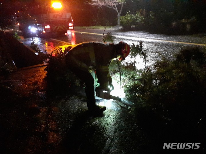 [제주=뉴시스] 제주지역에 태풍급 강풍이 불어 관련 피해가 속출했다. 출동한 소방대원이 안전조치를 하고 있다. (사진=제주소방안전본부 제공) 2022.03.26. photo@newsis.com