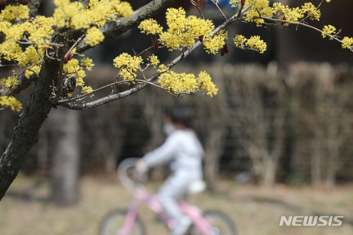 인천, 맑고 건조한 봄날씨 계속…일교차 주의