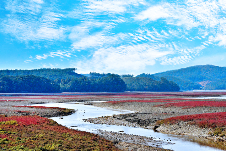 [서산=뉴시스] 가로림만 전경. (사진=뉴시스 DB). photo@newsis.com *재판매 및 DB 금지