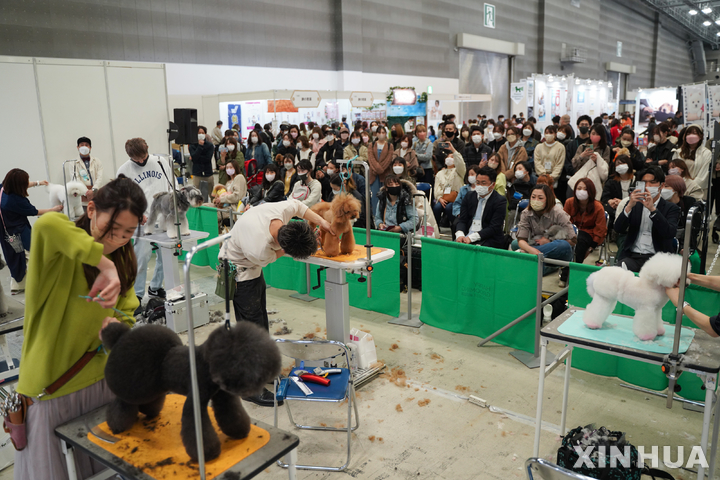 [도쿄=신화/뉴시스] 일본 수도 도쿄에서 1일 아시아 태평양 애완견 미용 콘테스트가 성황리에 열리고 있다. 2022.04.14 