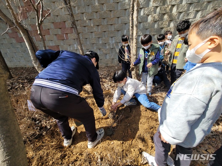 광명안현초 1학년들, 식목일 앞두고 진달래 동산 꾸몄다