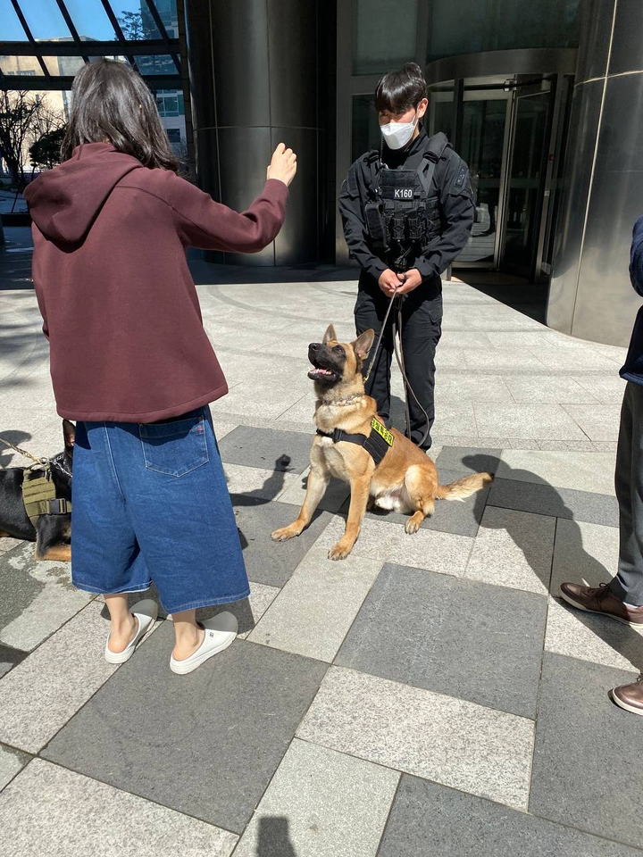 [서울=뉴시스] 김선웅 기자 = 윤석열 대통령 당선인 아내 김건희 씨가 서울 서초구 자택 앞에서 일상복 차림으로 경호 담당 경찰특공대의 폭발물 탐지견과 함께한 모습이 담긴 사진이 4일 공개됐다. (사진=독자 제공) 2022.04.04. photo@newsis.com *재판매 및 DB 금지