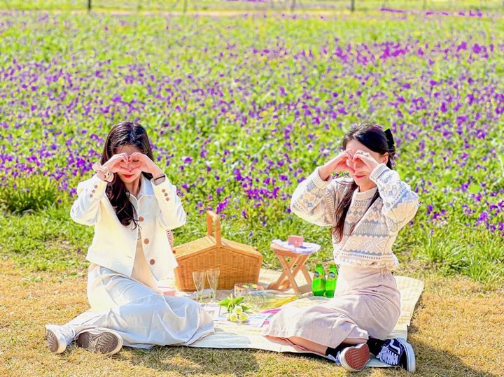 피크닉 용품 무료 대여. *재판매 및 DB 금지