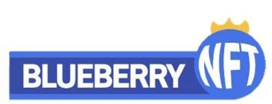 블루베리 NFT "스포티움 코인, 후오비 신규 상장"