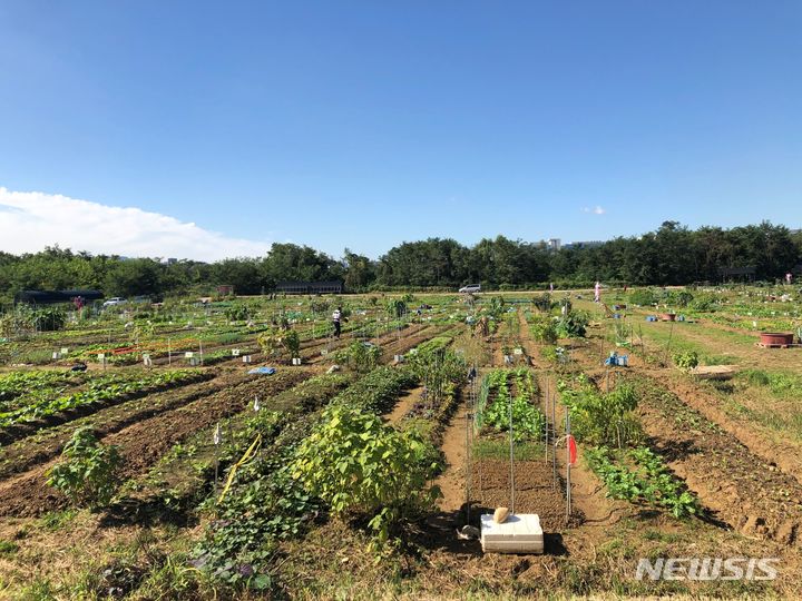 하남 지역의 텃밭 모습. (사진=하남시 제공)