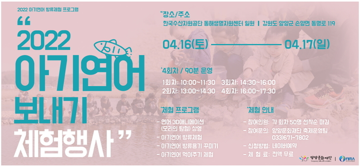 양양군 '아기연어 보내기' 체험행사 16~17일 