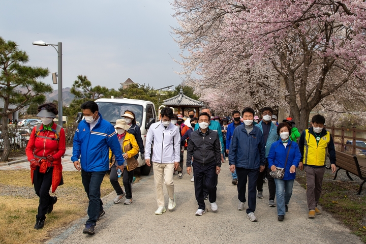 [괴산=뉴시스] 강신욱 기자 = 충북 괴산군체육회가 9일 칠성면 일대에서 주최한 2022 괴산세계유기농산업엑스포 성공기원 괴산군민 건강걷기대회에서 군민들이 벚꽃길을 걷고 있다. (사진=괴산군 제공) 2022.04.09. photo@newsis.com *재판매 및 DB 금지